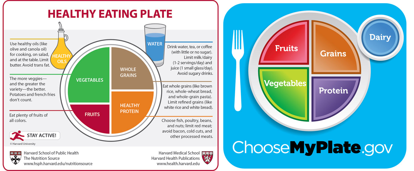 Healthy Eating Plate, The Nutrition Source